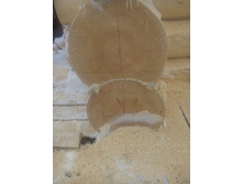 IMG 20160219 145531.jpg