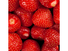 ��������.