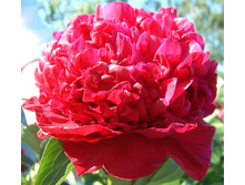 ���� ��������� ������ � ������ 3 ����� 360���..jpg