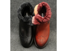 � ����.����