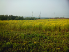 IMG 20160723 172620.jpg