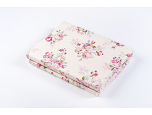 Avion ������������ ����� ������.JPG