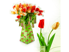 FF TLP48 �������, ����, 48��74,24 ���..jpeg