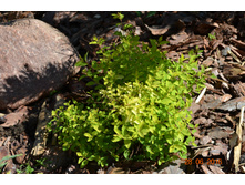 ����� ��������� �� ������