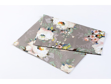 Hollan ���������.JPG