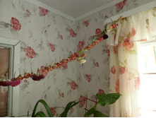 ���������� ������� ������. ��� ���� �� ����� ������� �������� � ��������� ����.