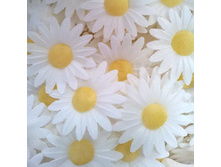 ������ 13*042*RG "����������"