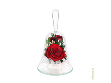 ���������� �� ������� ��� (�����������) (���. DT4MR) - 958 ���+%.jpeg