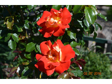 Airbrush (������� �� ������ 2016�) ������ ��������