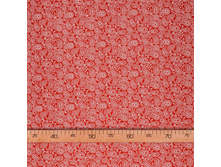 ���� �������� ������� � ��������.jpg