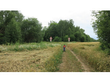 ��� �� ��� �������� - ������� �������!