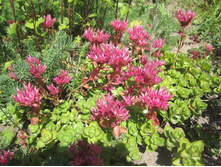 ���� 024.jpg