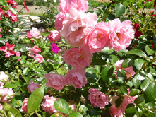 ����������