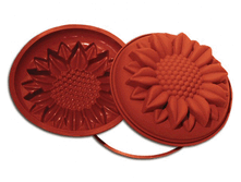 ����� "���������"