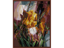 GL8037 ������ ����.jpg