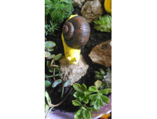 P 20160727 114355 1 p.jpg