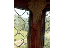 IMG 20160731 141021.jpg