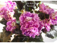 �� ��������� �������