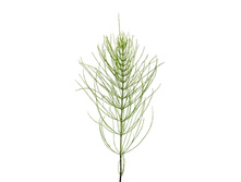 �������� �����.jpg