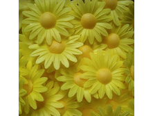 ������ 13*04*2RE "����������"