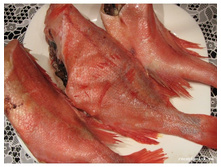 ����� �������.JPG