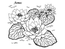 Coloring-pages-flowers-zezag-21s.jpg