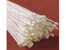 ������� ��� ������, ����� ���������