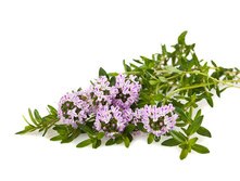 �������� �������.jpg