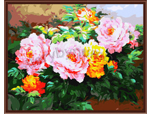 GL6544 ������ �����.jpg