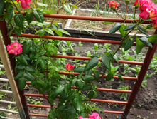 ��������� "�����"