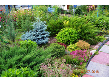 ������������ ��������-100�