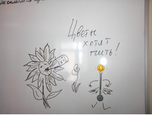 IMG 20160707 144032.jpg