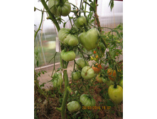 ��������� ������