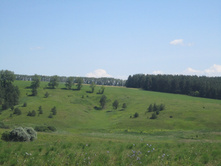 ���� 033.jpg