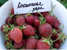 ��������� ����