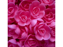 ����� ��� ����� 13*080R*X "����� ����"