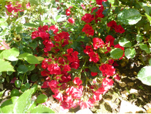 ���������� ���(�� �������, ����� �����, ��� �������� ���� ��������)