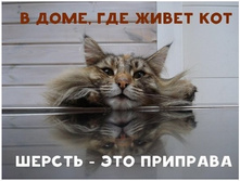 ���...