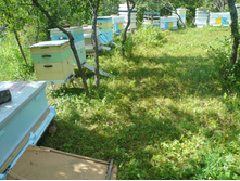 ������ ����� ���.JPG