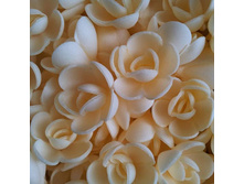 ������ 13*080*RM "����� ����"