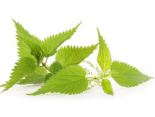 �������� �������.jpg