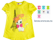 ������ SHISHCO