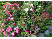 20160703 153814.jpg