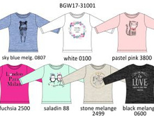 BGW17-31001 �����.jpg