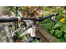 IMG 20160723 122724 HDR.jpg