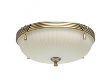 317011303 4600�.jpg