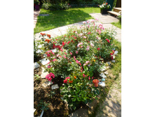 ������� "����" �� �����, � ������ ��������� �� �������������.