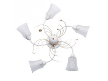 356018105 2500�.jpg