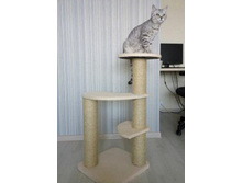 �� 1105 ���. ������� �������� ��� ����� "��������"