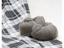 ������� �� ���� ���������� �������